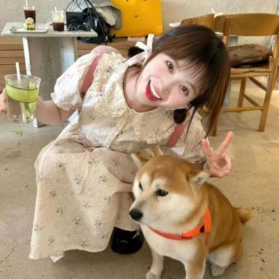 神烦警探第七季